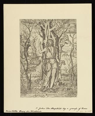 St. John the Baptist by a Group of Trees, from a group of photographs of rare prints in the British Museum