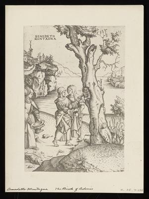 The Birth of Adonis, from a group of photographs of rare prints in the British Museum