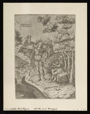 Apollo and Marayas, from a group of photographs of rare prints in the British Museum