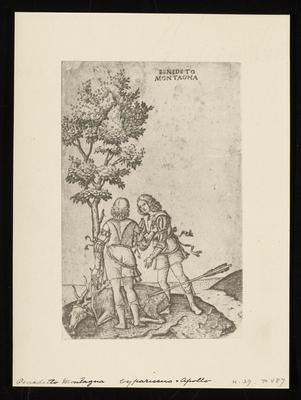 Cyparissus and Apollo, from a group of photographs of rare prints in the British Museum