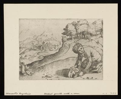 Naked Youth With a Ram, from a group of photographs of rare prints in the British Museum