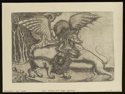 Lion, Lioness and Dragon Fighting, from a group of photographs of rare prints in the British Museum