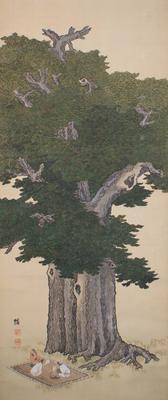 Picnic Under a Giant Tree