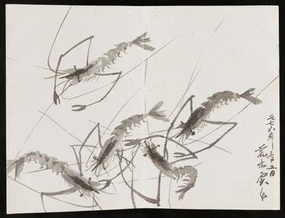 Album of Sketches of Fish and Shellfish