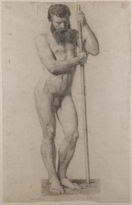 Standing Male Nude