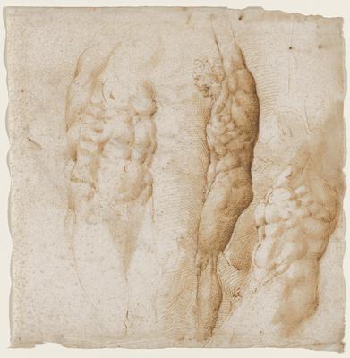 Three Studies of An Antique Statue of Marsyas (recto); Wild Boar Attacking a Fallen Hunter Dressed in a Chiton (verso)