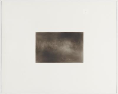 Heart disease, 1854, Plate 47 from The First Time, The Heart (A Portrait of Life 1854-1913)