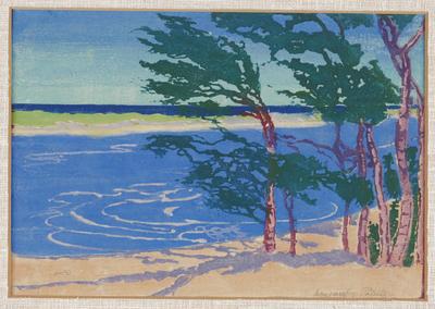 Windblown Trees