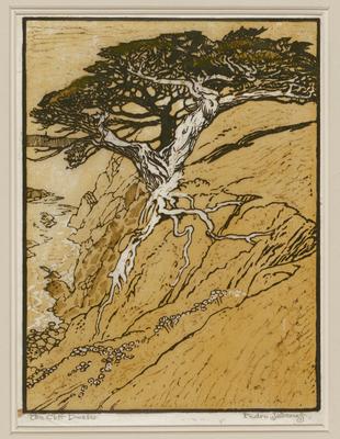 The Cliff Dweller