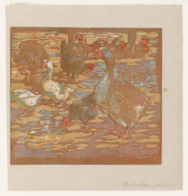 Waterfowl and Chickens (Wasservögel und Hühner)