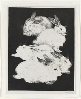 Vijf Angorakonijnen (Five Angora Rabbits)
