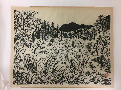 Title unknown [Mountain]