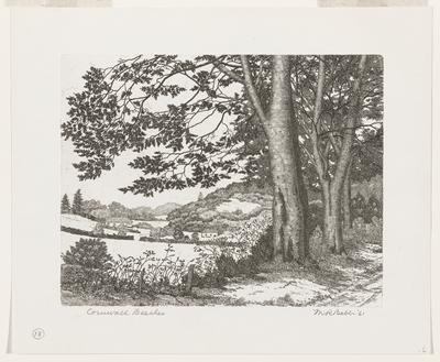 Cornwall Beeches, 1961