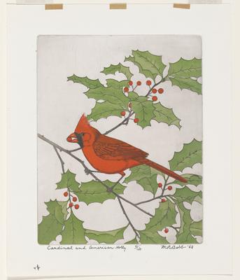Cardinal on American Holly