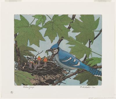 Blue Jays