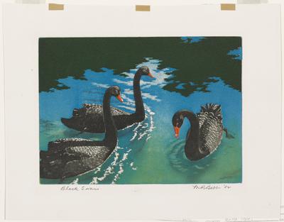 Black Swans