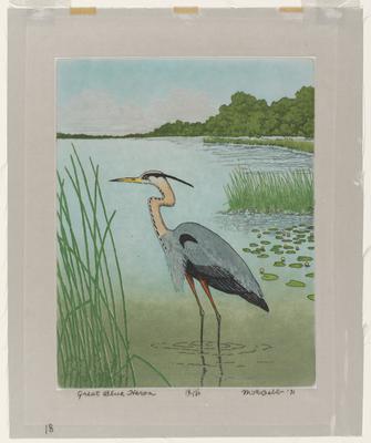 Great Blue Heron