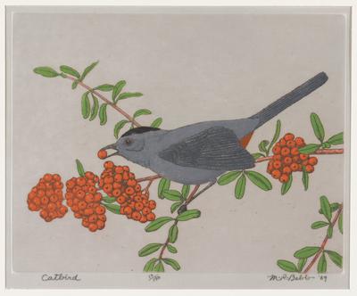 Catbird