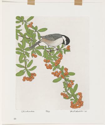 Chickadee