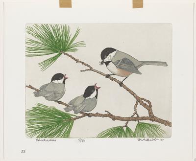 Chickadees