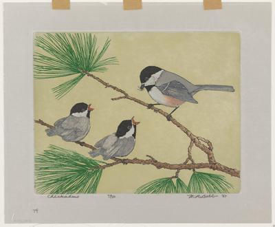 Chickadees