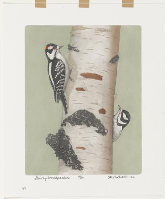 Downy Woodpeckers