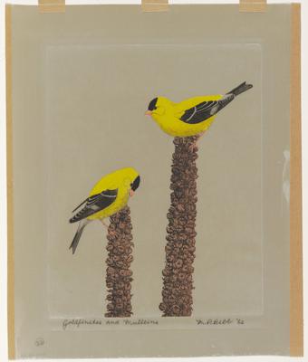 Goldfinches and Mulleins