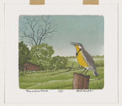 Meadowlark