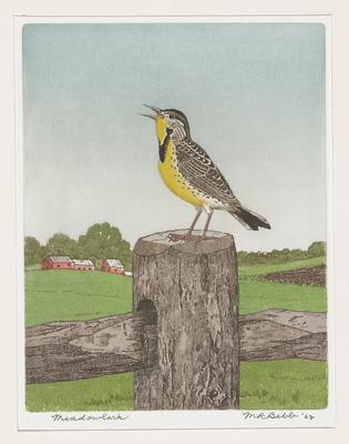 Meadowlark