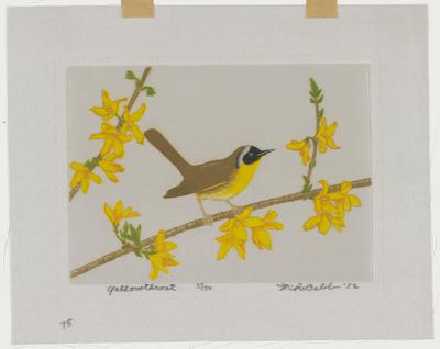 Yellowthroat