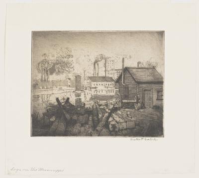 Logs on the Mississippi