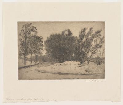 Willows on Lake of the Isles, Minneapolis