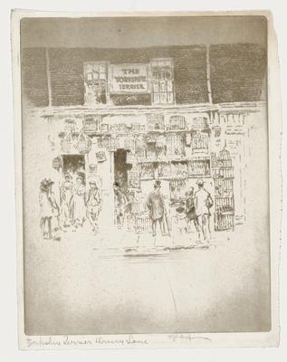 The Yorkshire Terrier