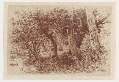 A Bit of Natural Park