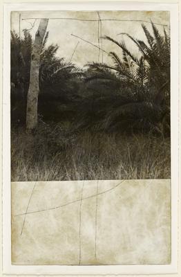 Near Brownsville, Texas