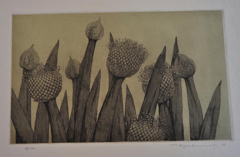 Onion flowers by Tanaka Ryohei