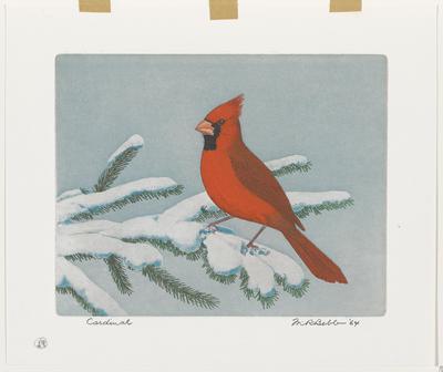Cardinal